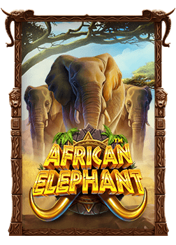 cash or crash ทดลอง เล่น กับประสบการณ์ใหม่ๆ